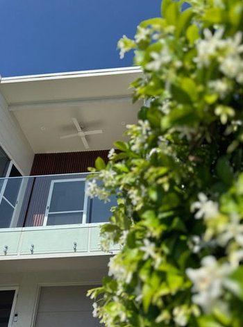 Image 4 for 53 Bradley Cr, Nirimba  QLD  4551