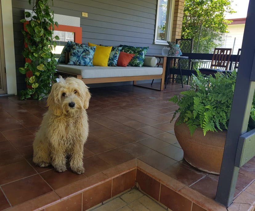 Main listing image for 42 Bartholomew St, Zillmere  QLD  4034