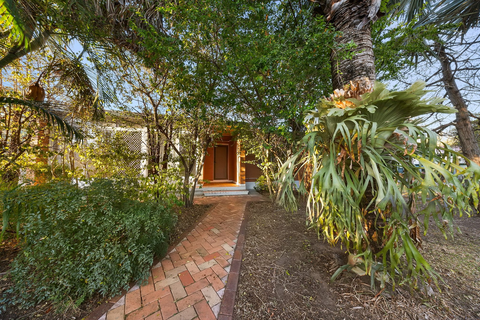 Main listing image for 160 Lang St, Sunnybank Hills  QLD  4109