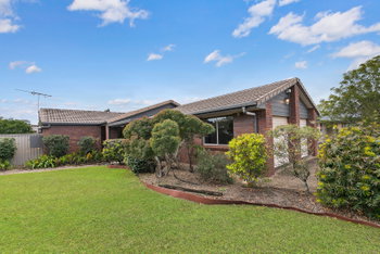 Image 3 for 71 Balcara Ave, Carseldine  QLD  4034
